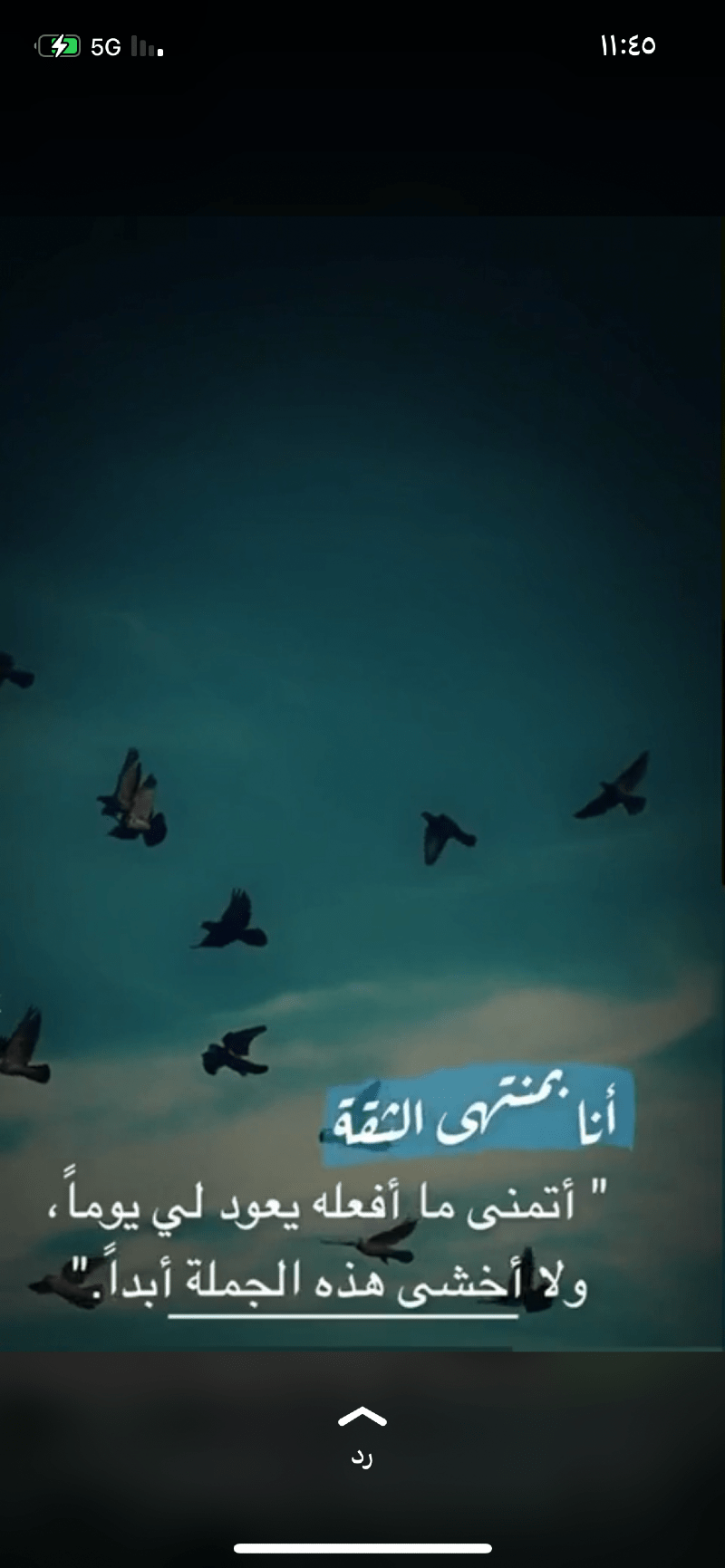 أضواء الشمري