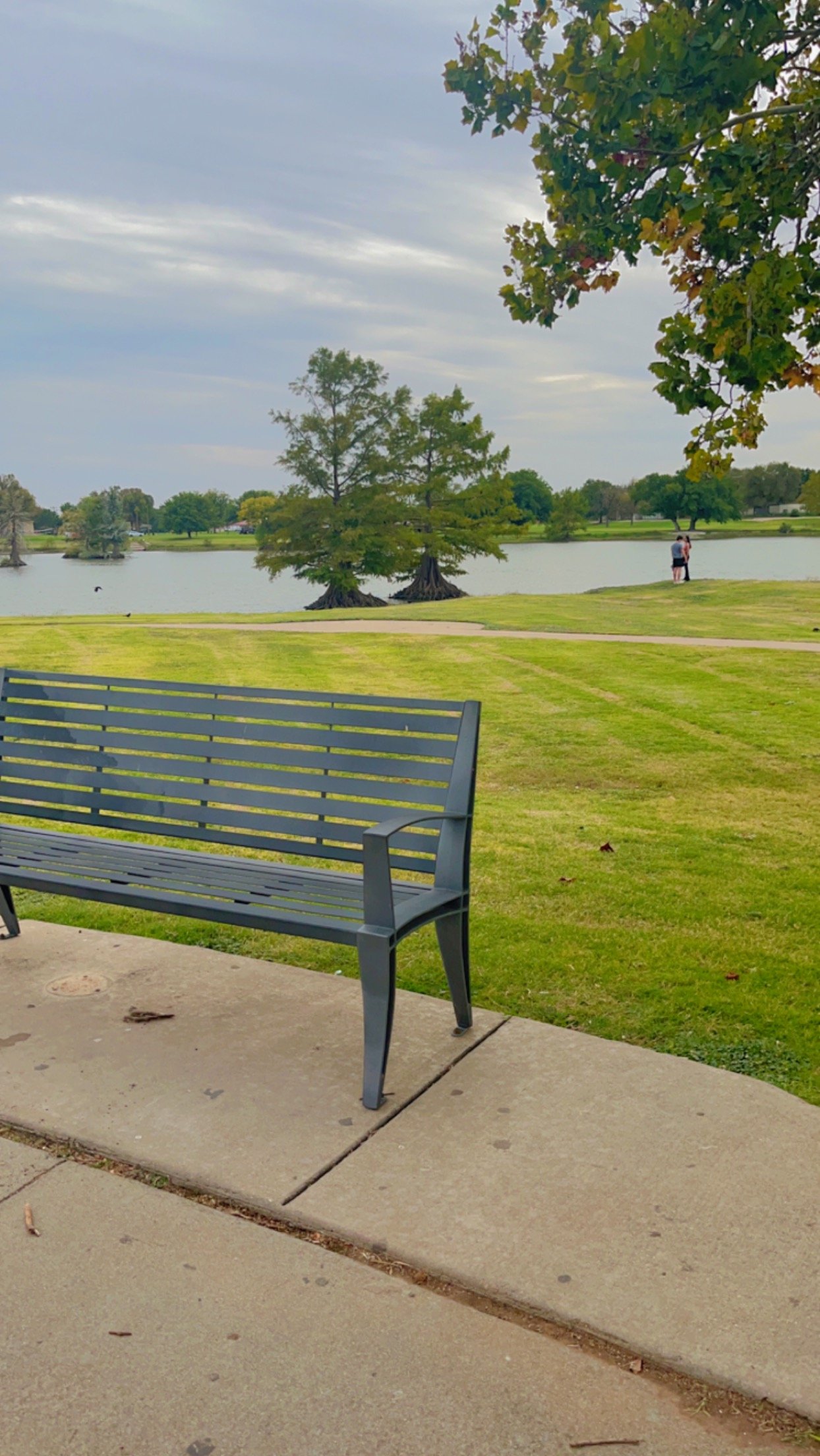 محمد مباركي