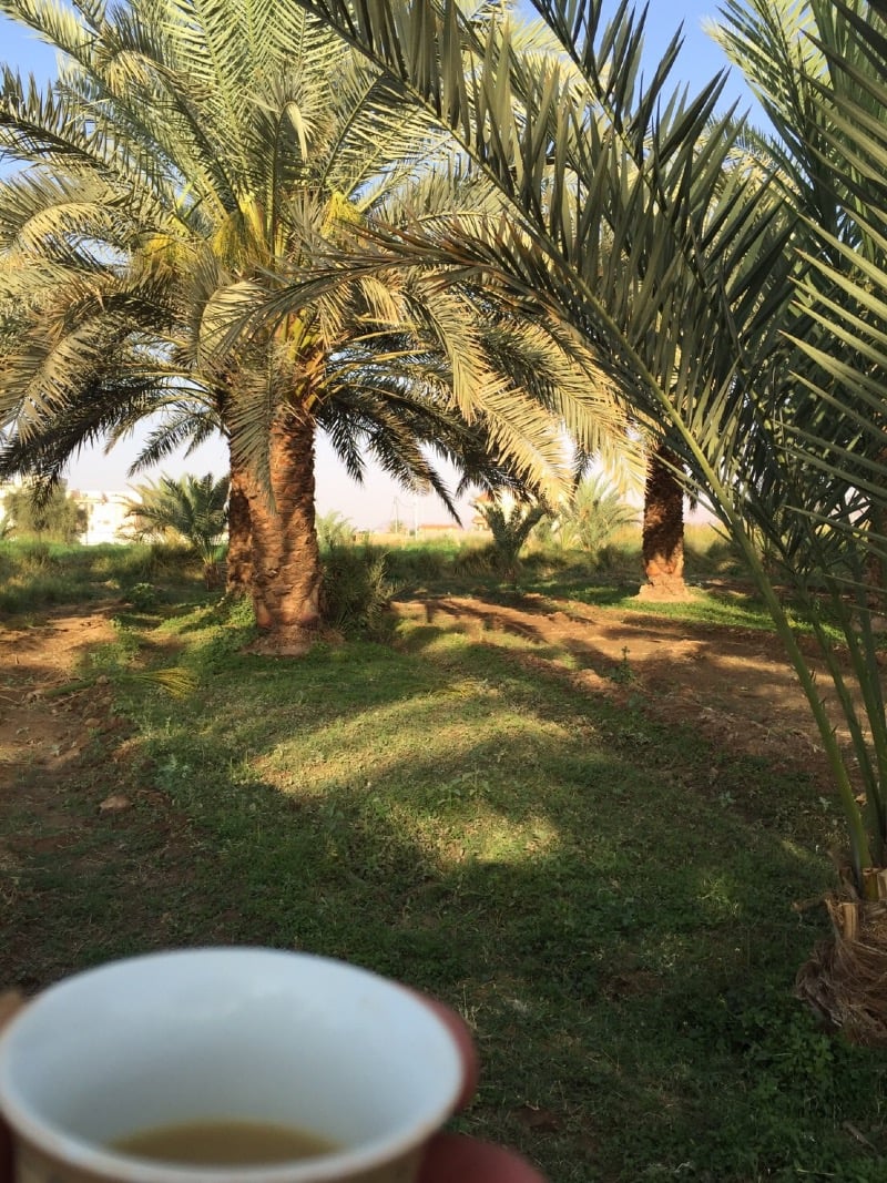 بشائر الدوسري