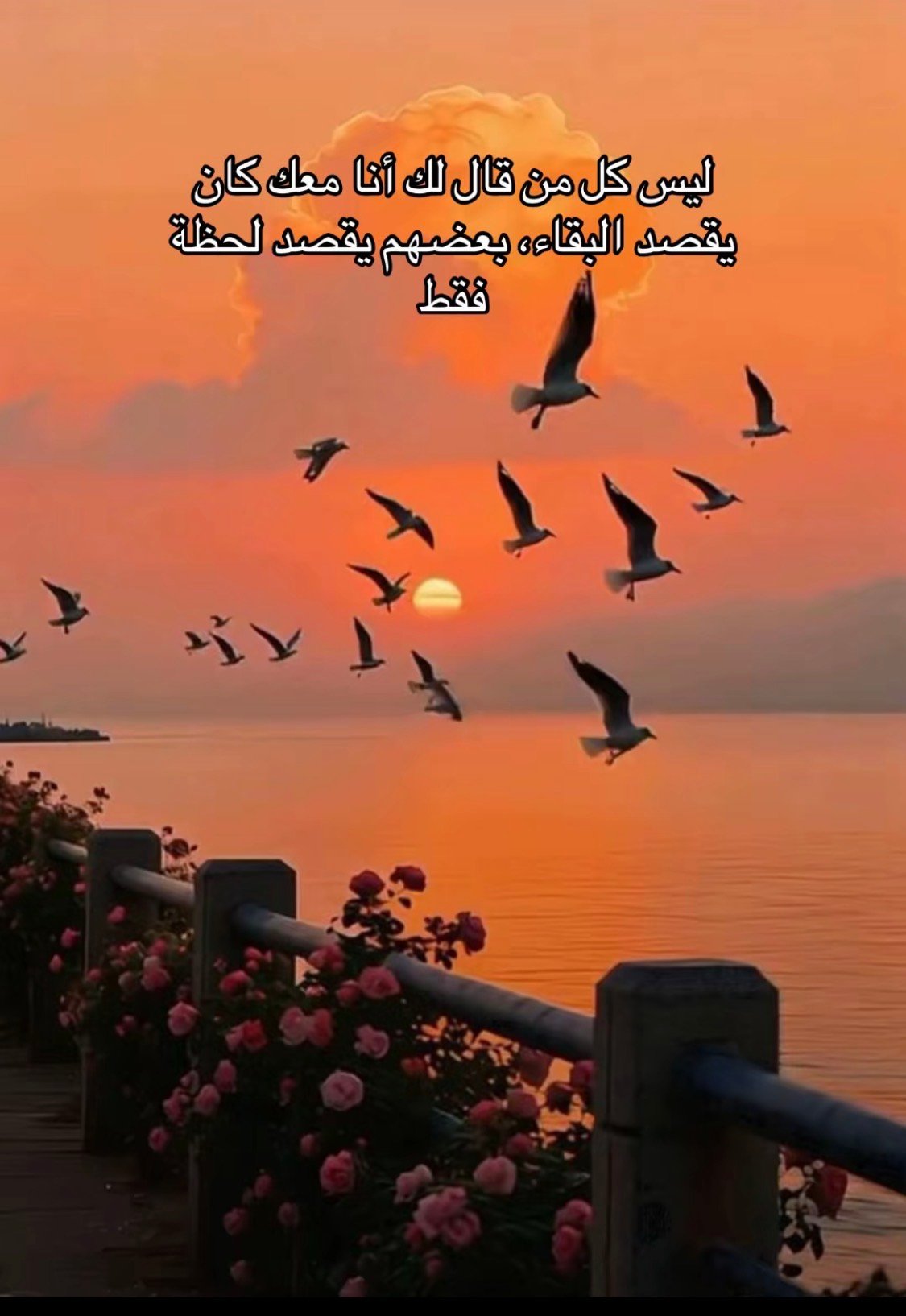 سعيده معتق الثقفي