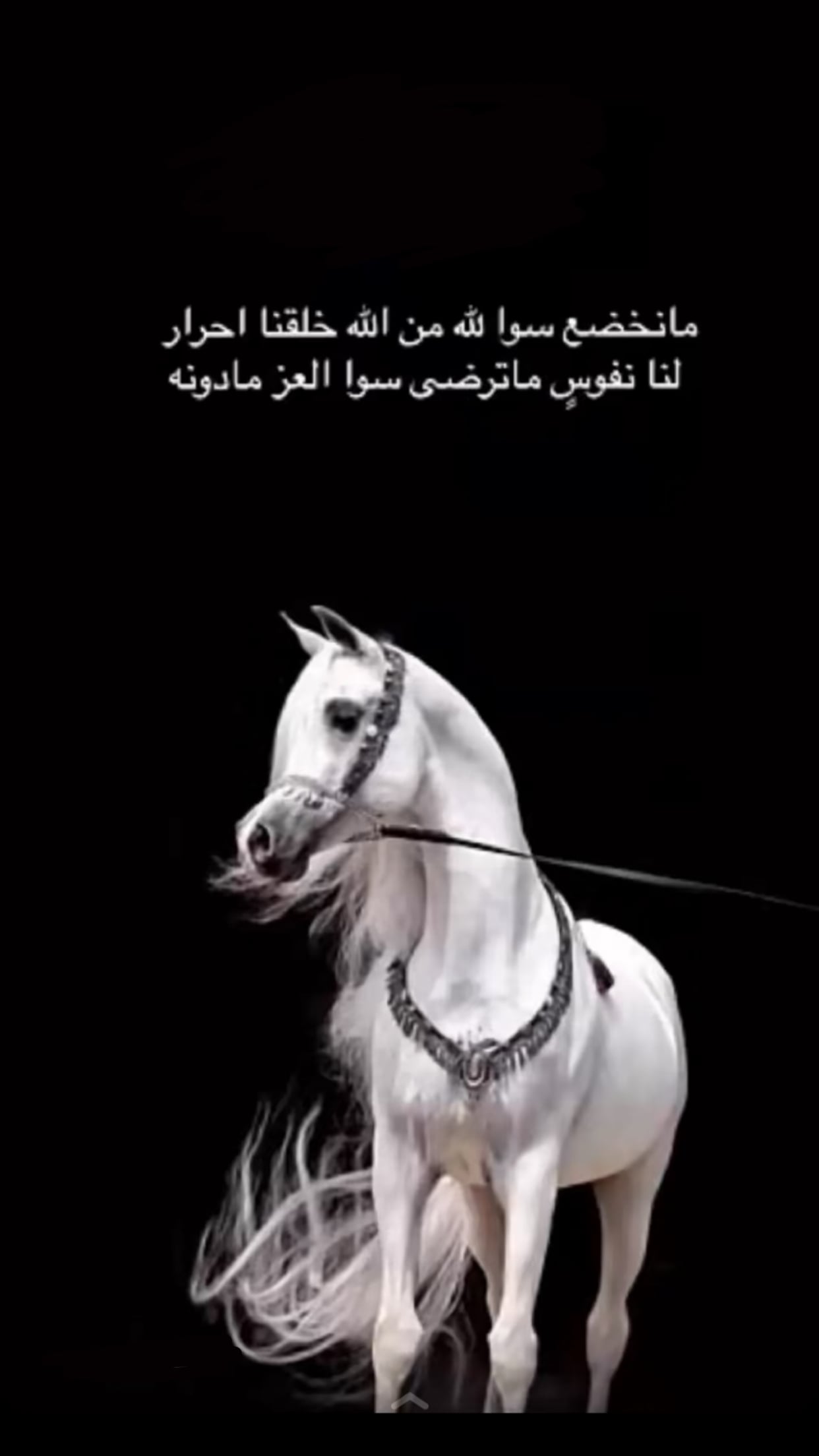 نوره ..