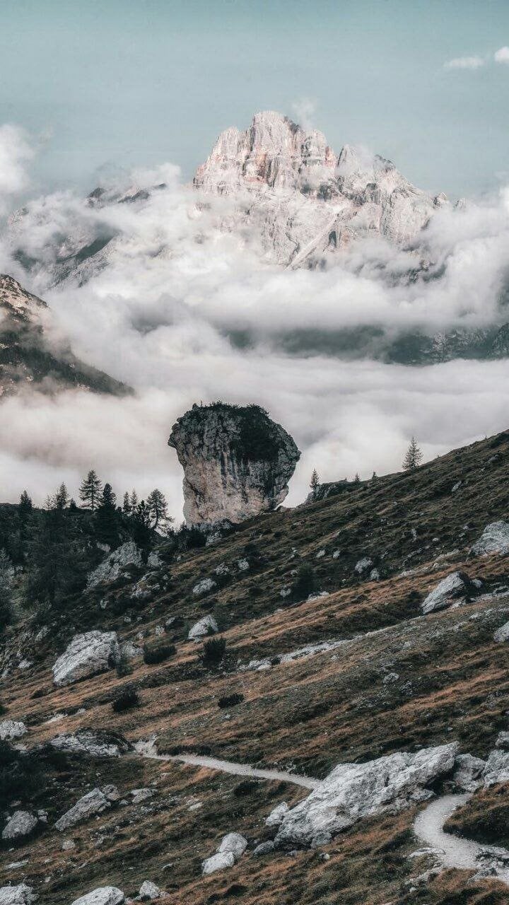 عوض الحاتمي