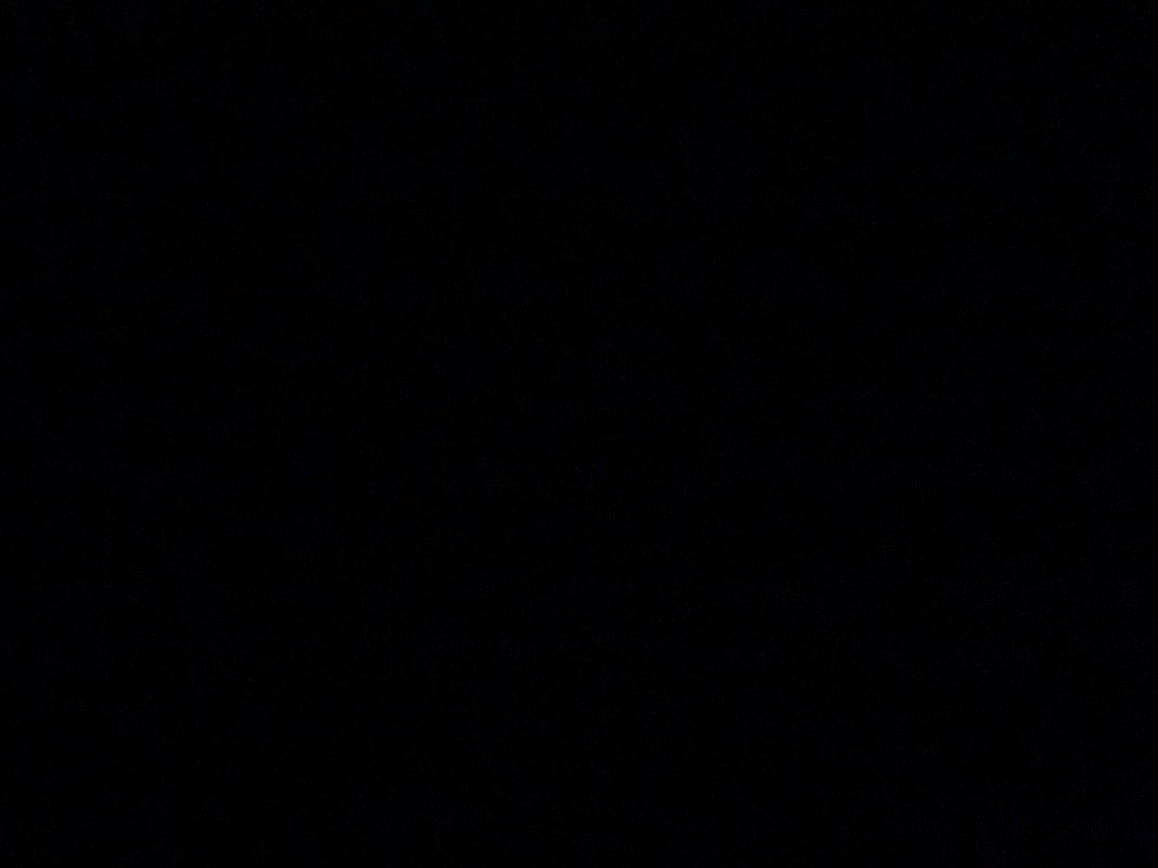 صافية الأسمري