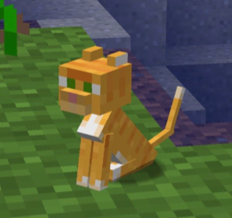 عايضه العتيبي