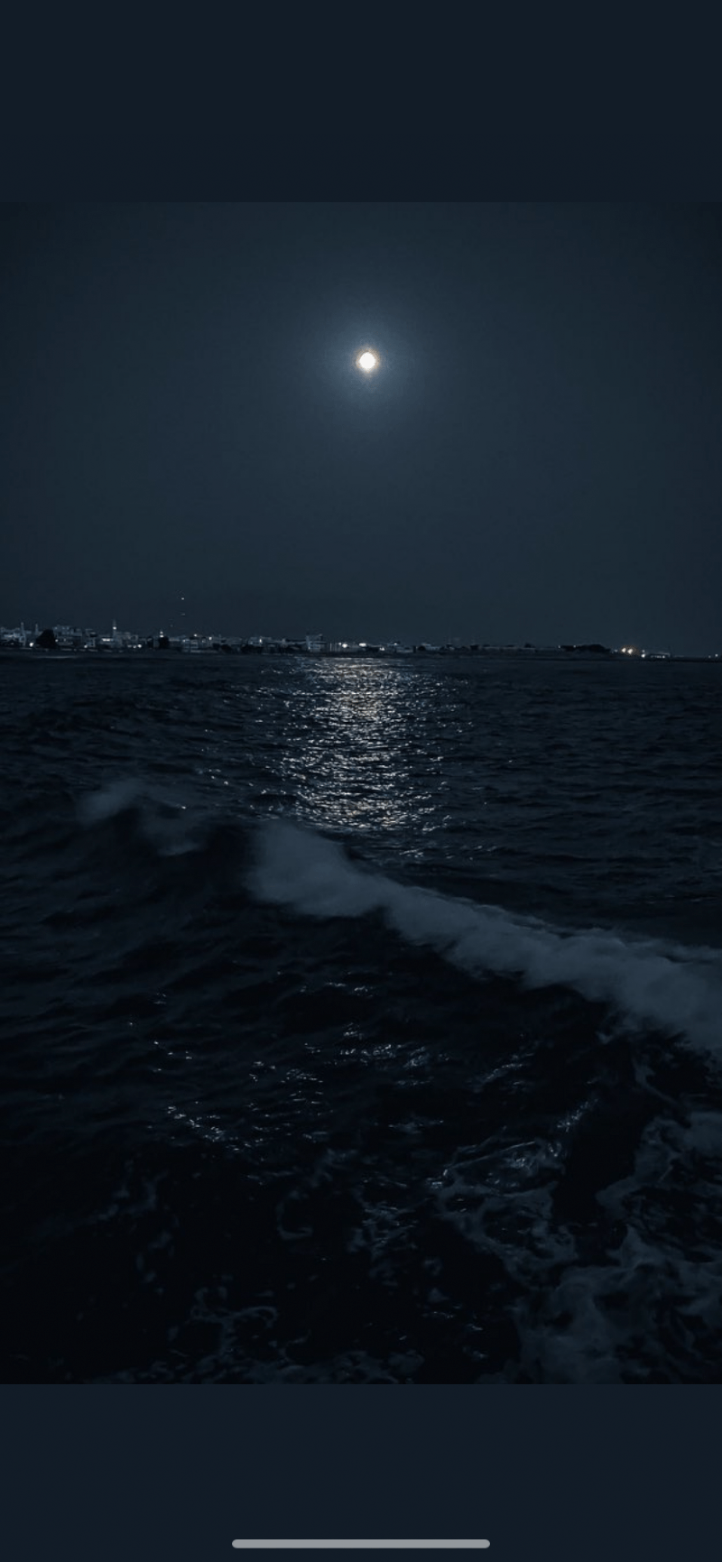 رهف هادي