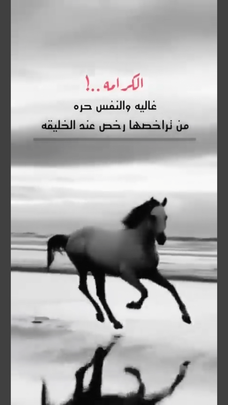 عقيل الشمري