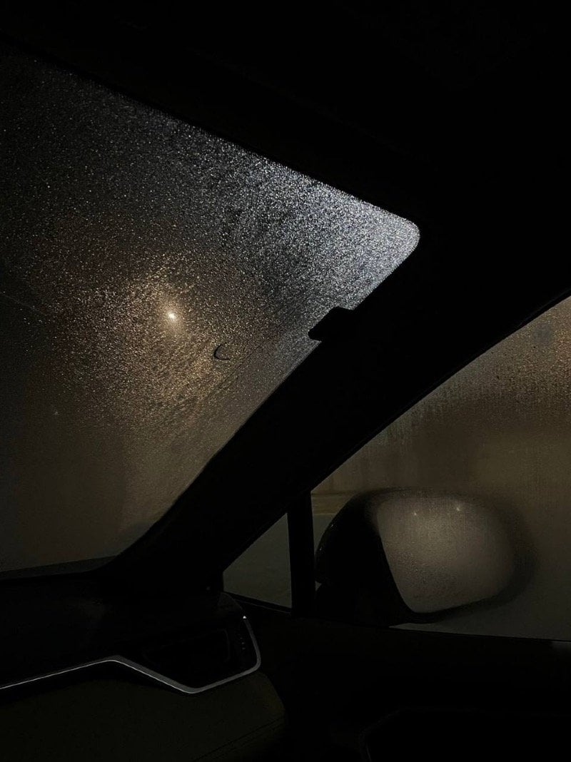 دلال الغامدي