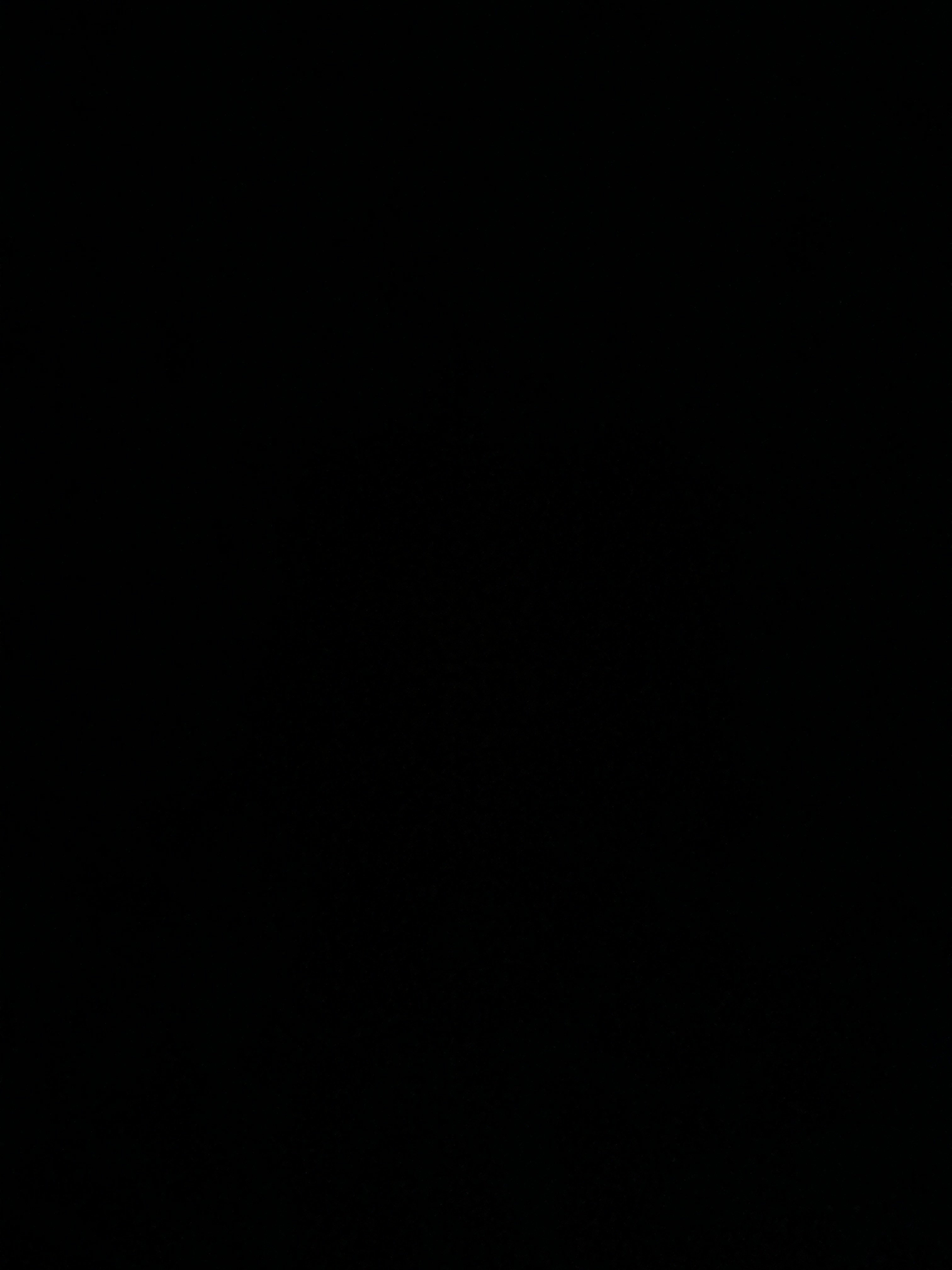 شادن العمري