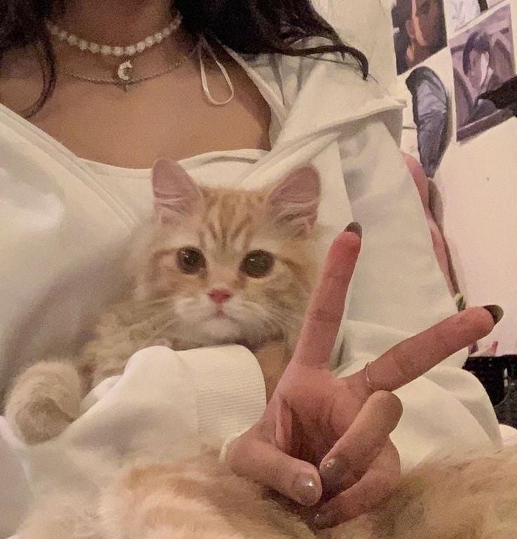 سلطان الدوسري