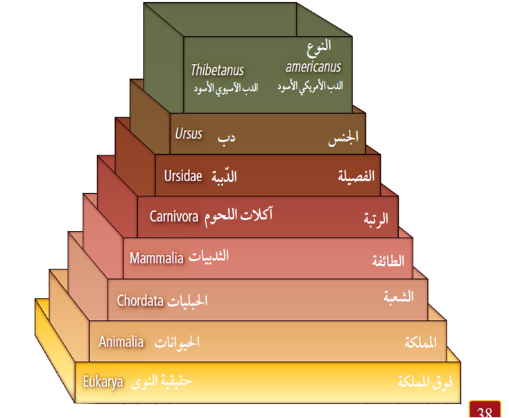 سميرة الزهراني