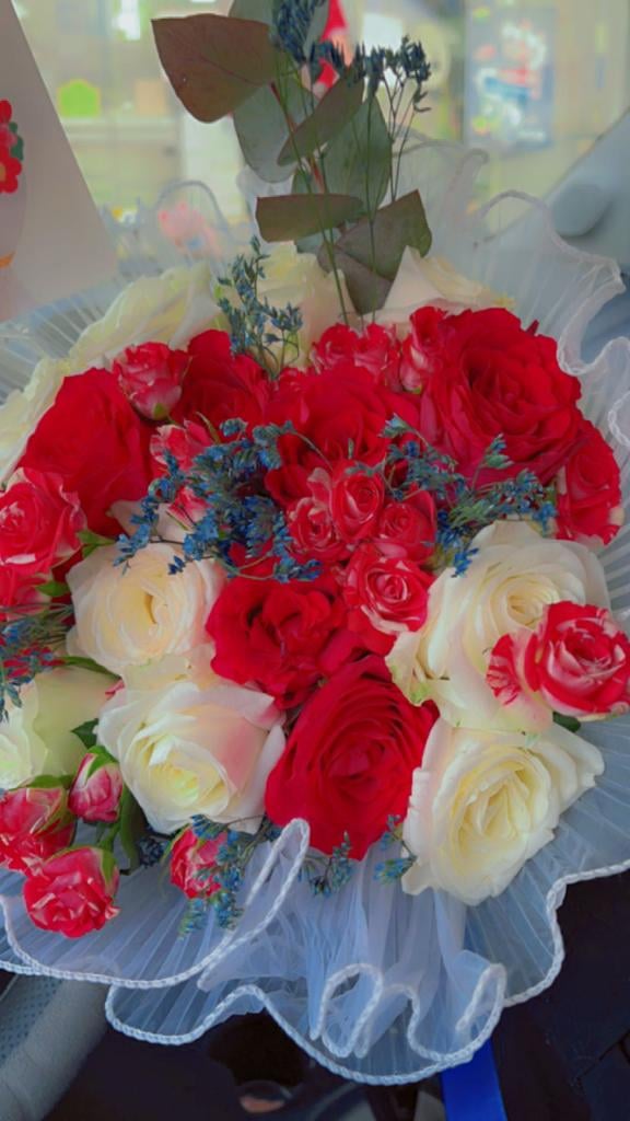 ام عمر ام عمر