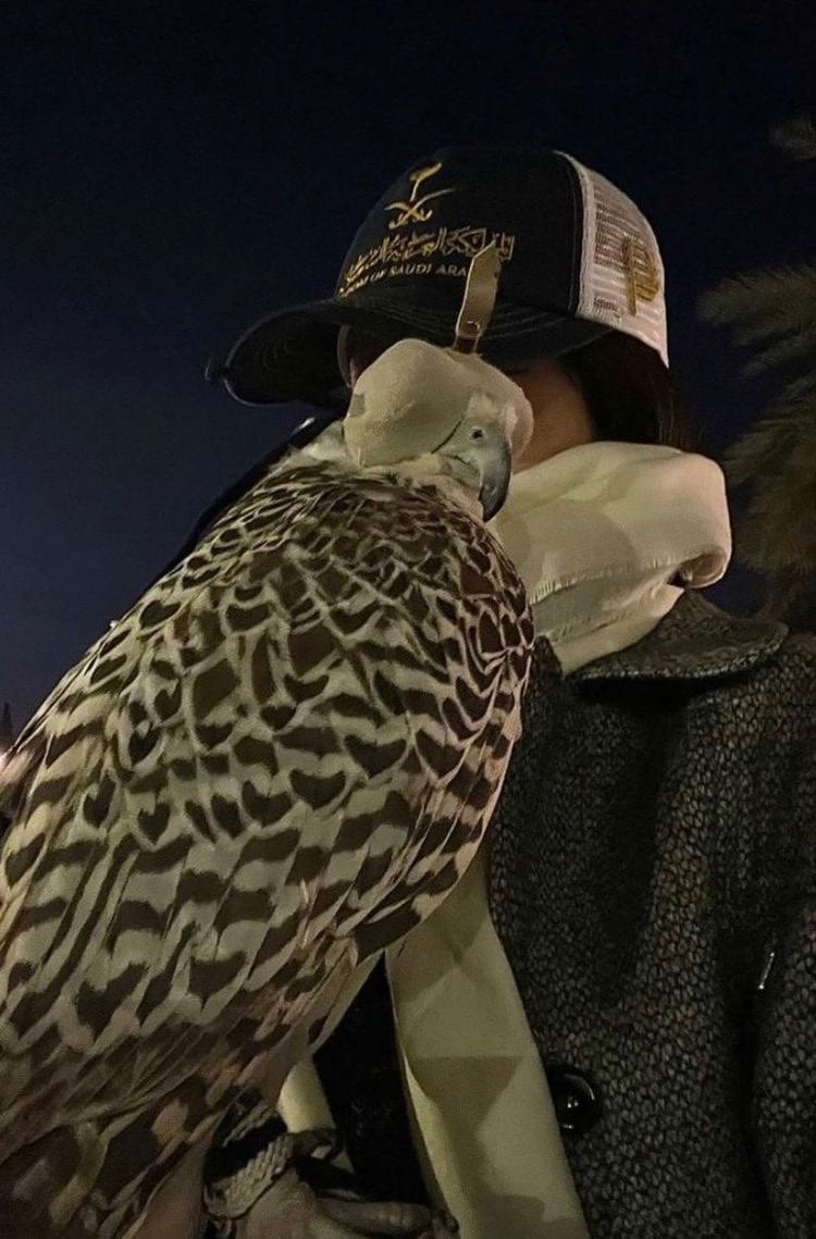 نوف الدوسري