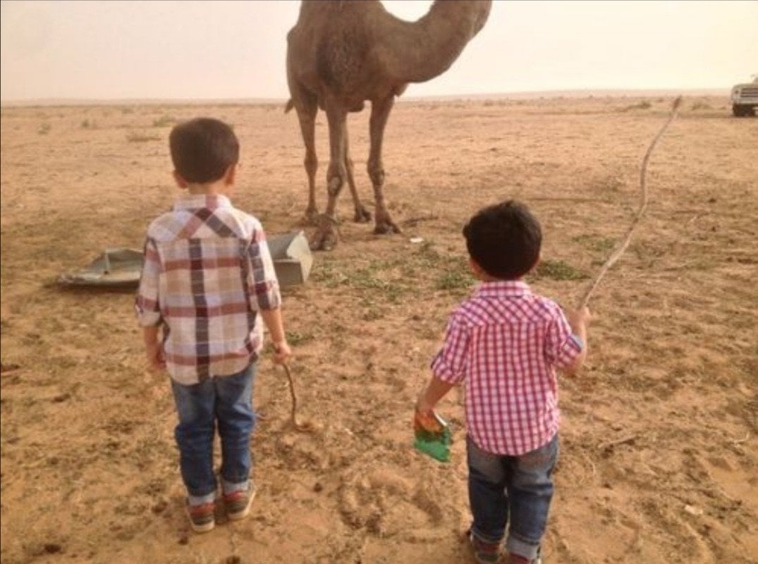 عبد العزيز الزيد