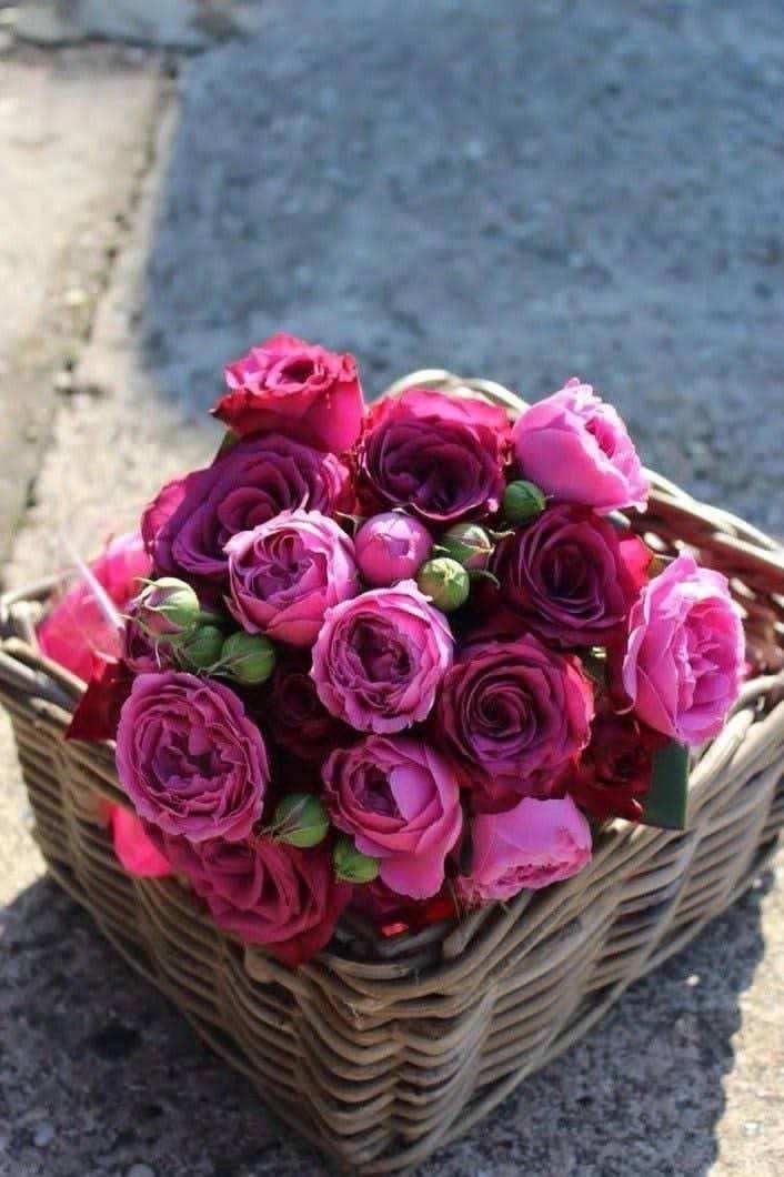 عبدالله سالم