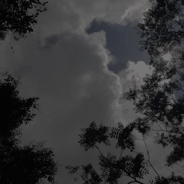 عبدالله احمد