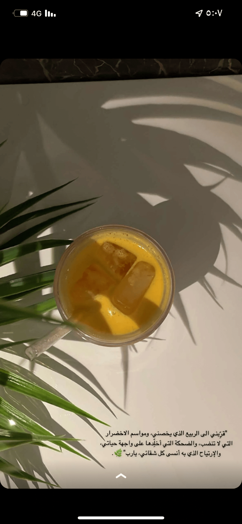 وضحاء العنزي