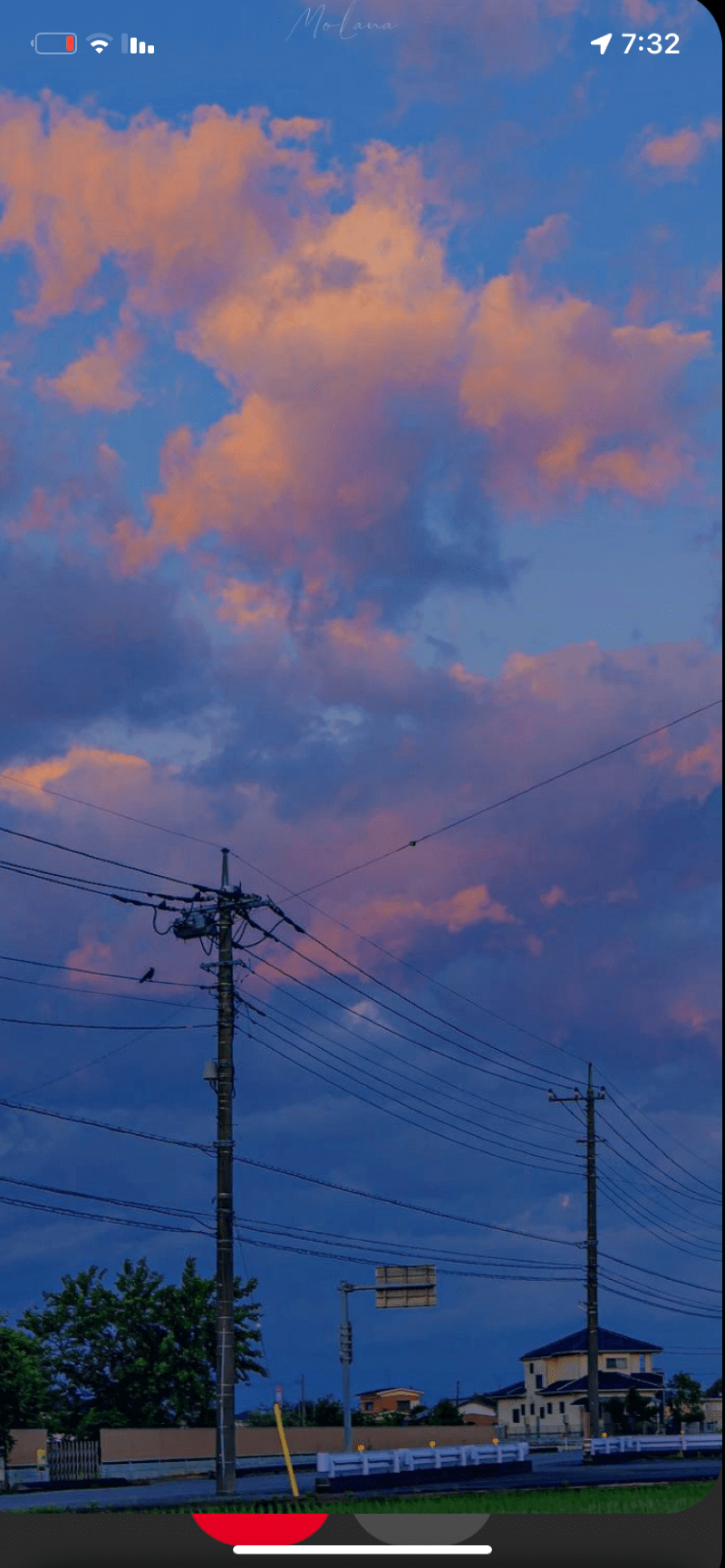 ريماس الدوسري