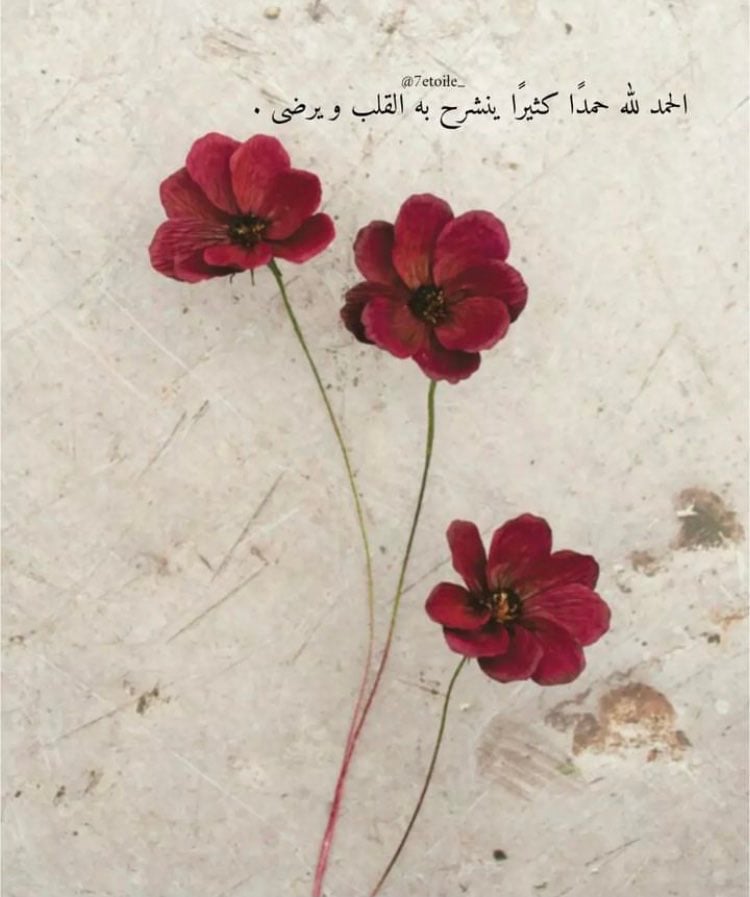 الامل عداوي