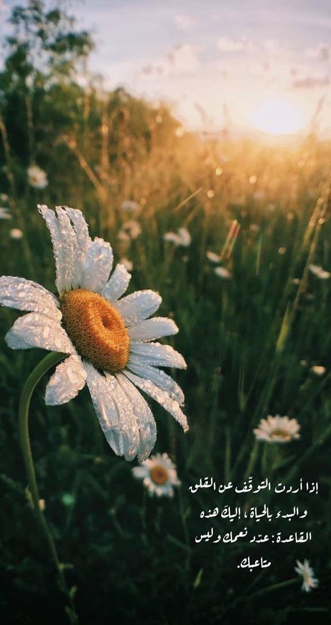 موضي العتيبي