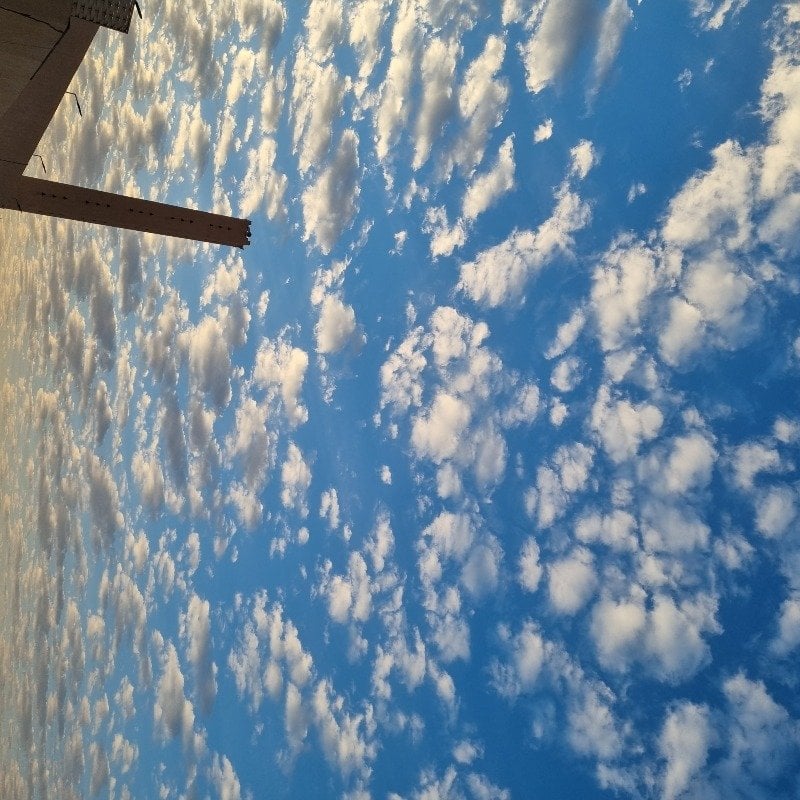 حصه آل سليمان