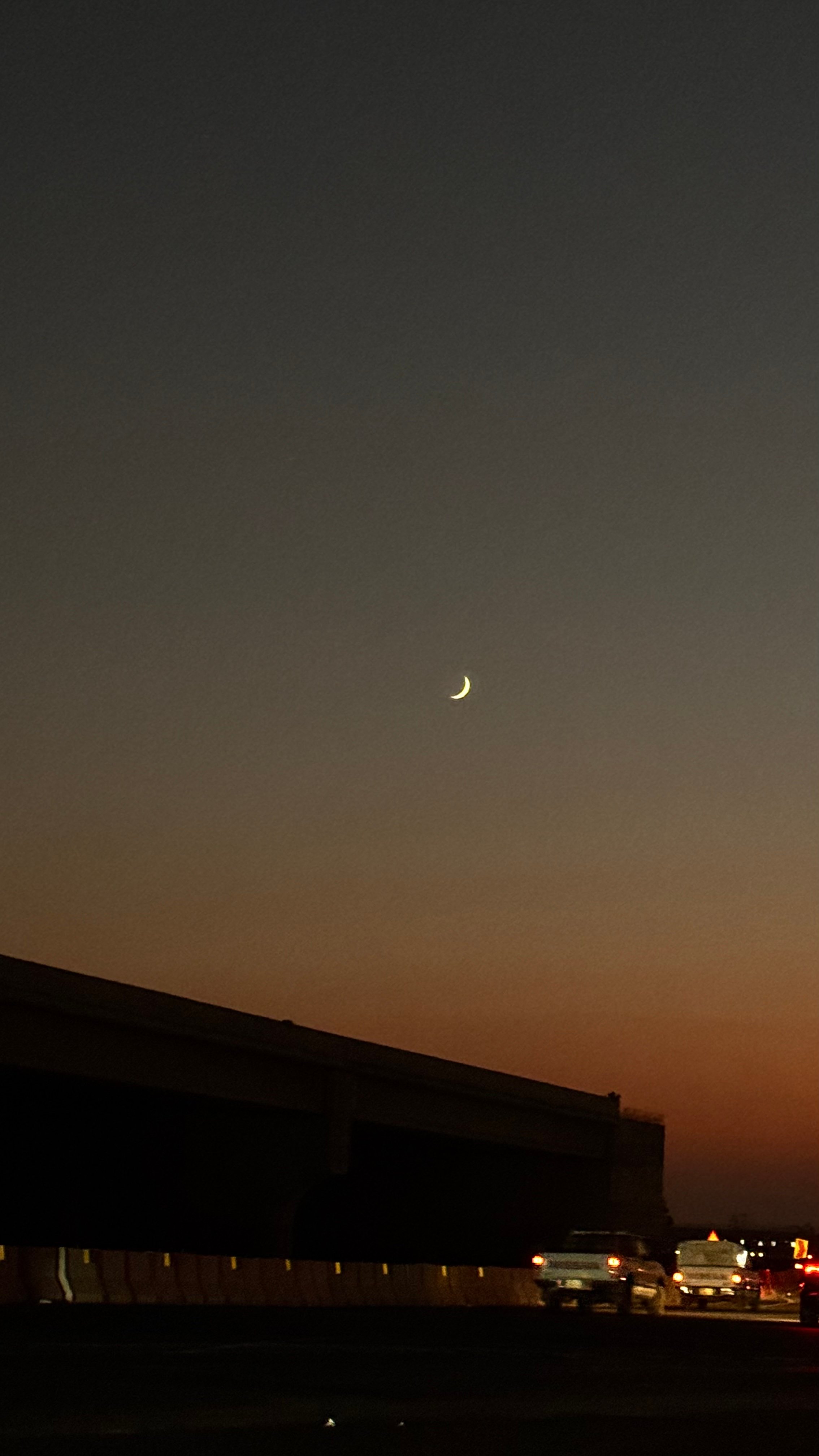 حسن آل عامر