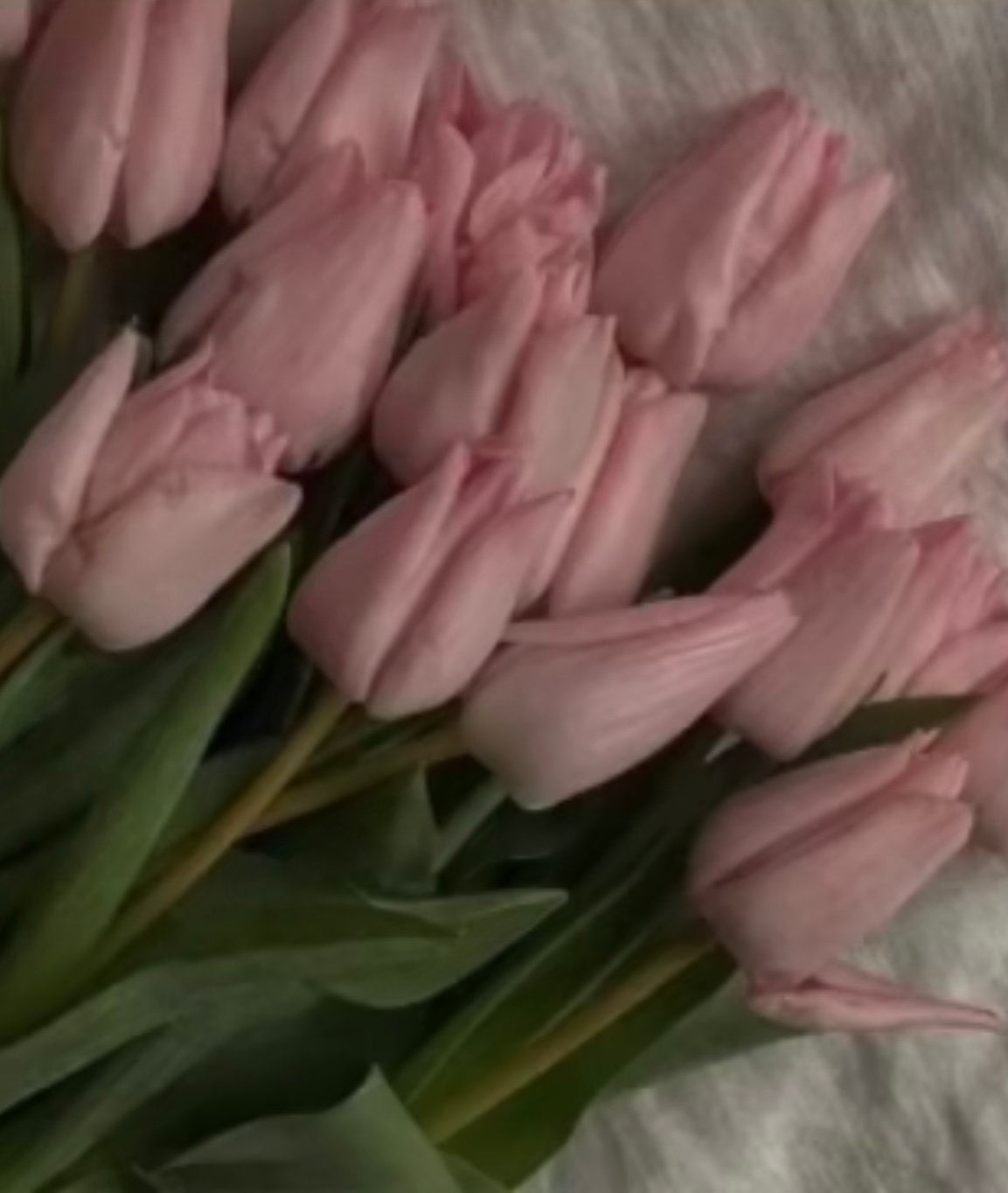 أشواق عبدالله