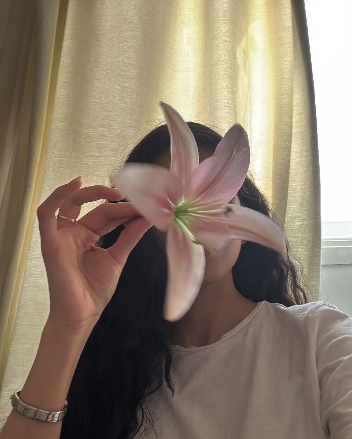 Areej Mohammed