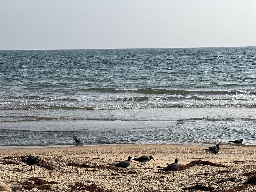 متعب عبدالله