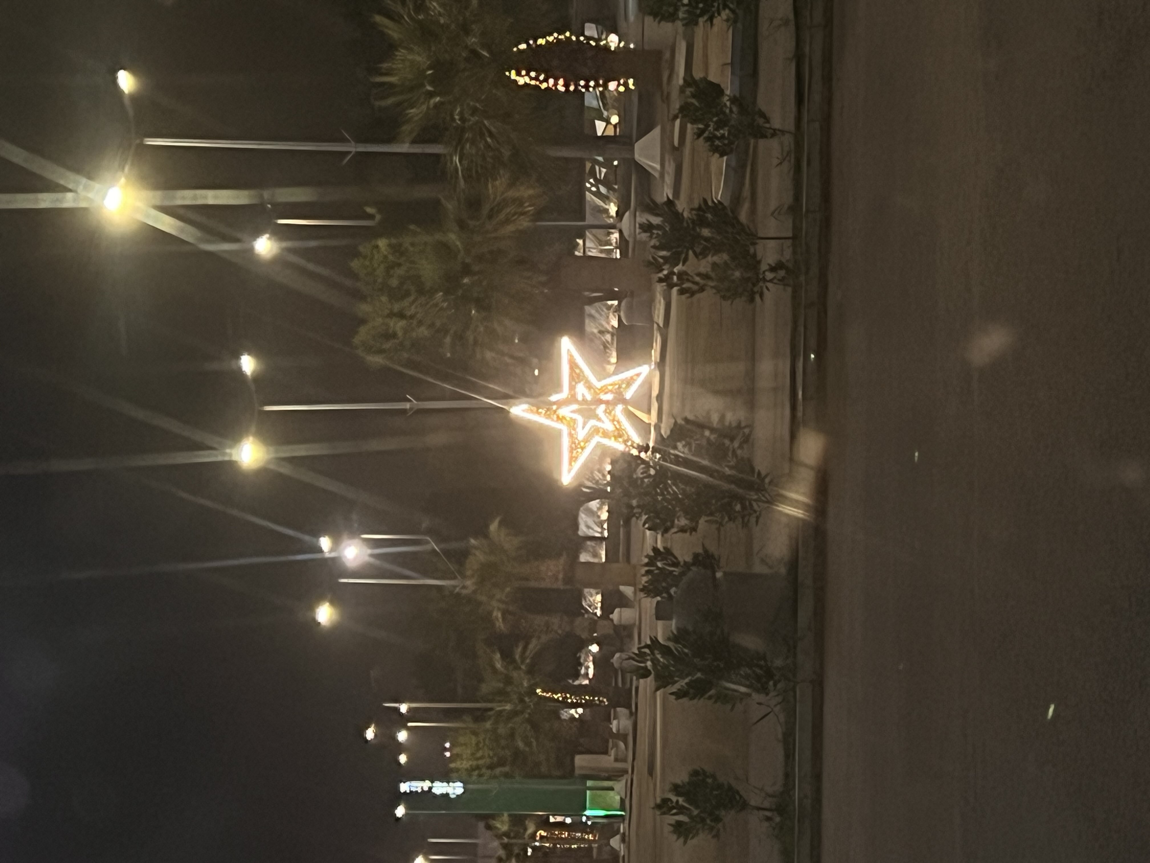 مرام الحربي