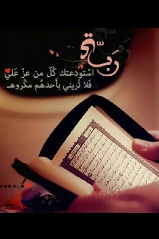 فالح الشاطري