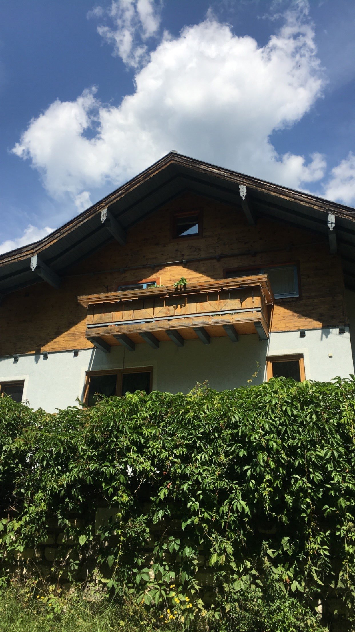 ماجد عبدالرحمن الشمري