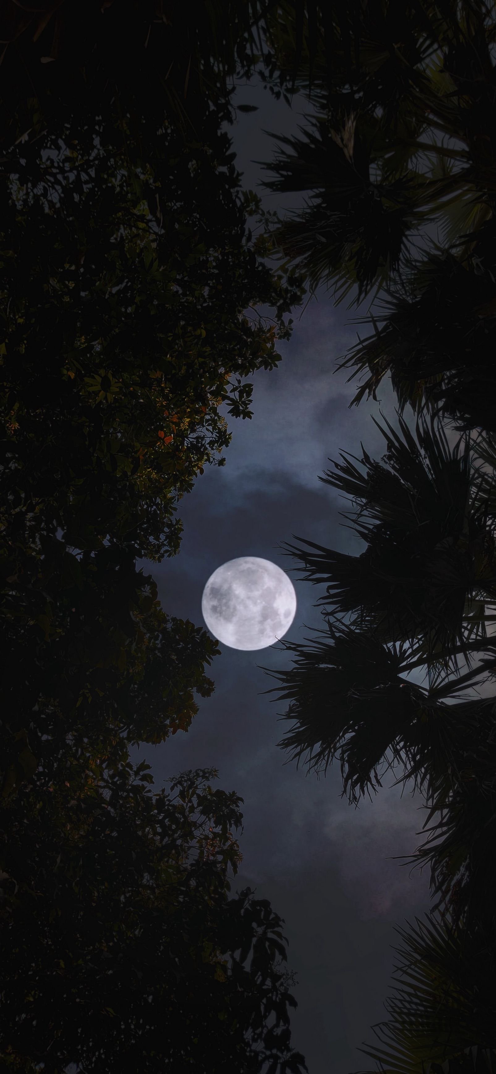 عناد العلياني