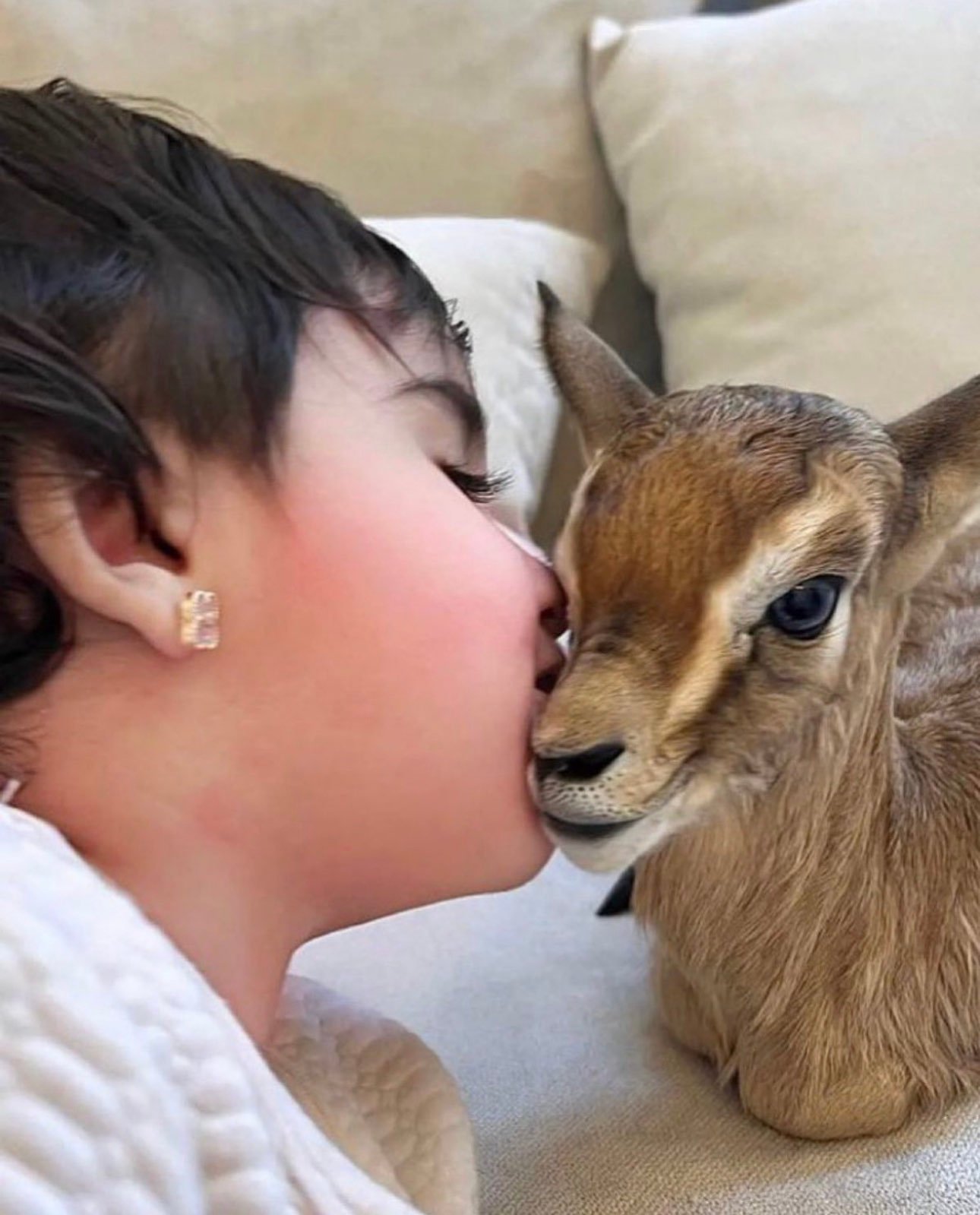 ملاك الدوسري