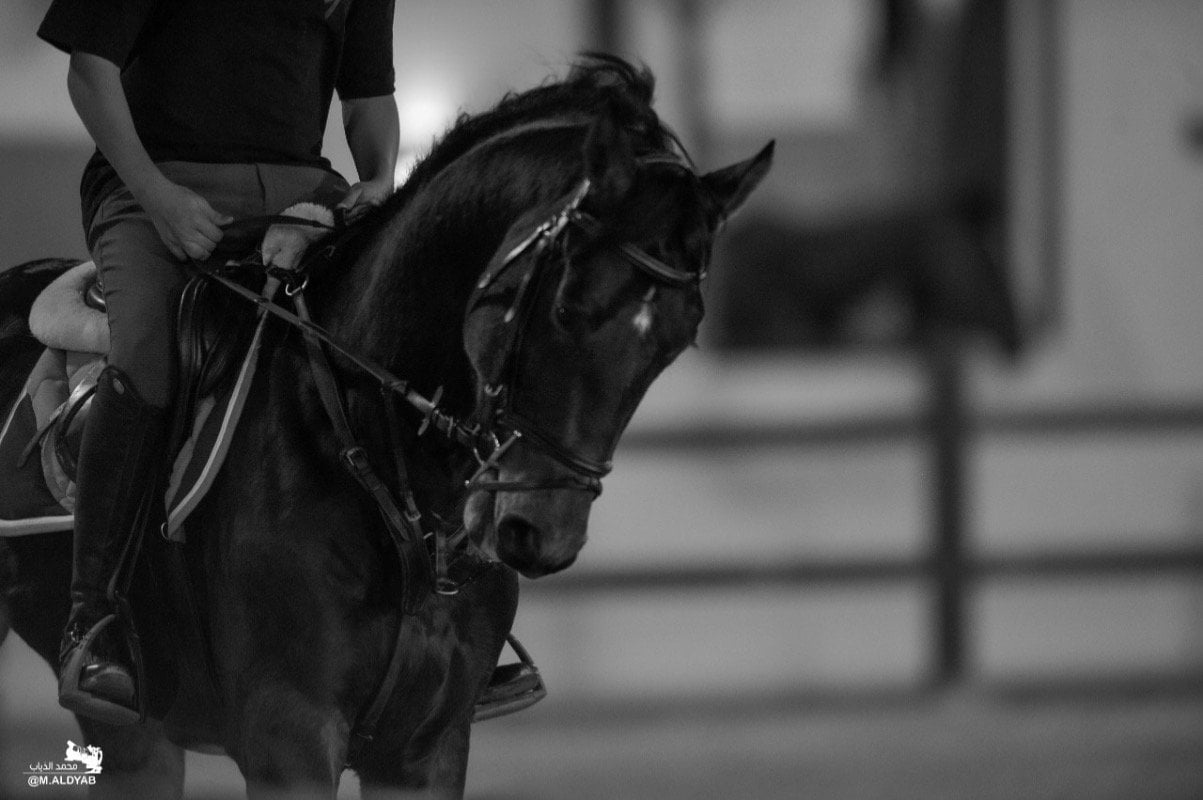 عائشة آل سالم