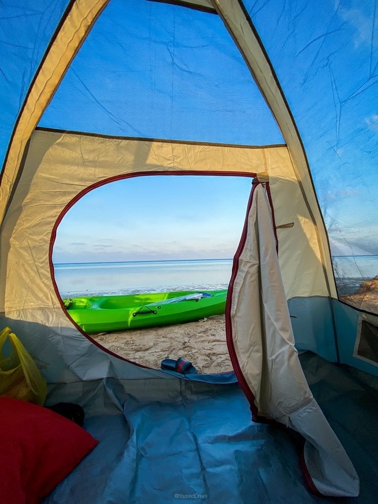 محمد الفهمي