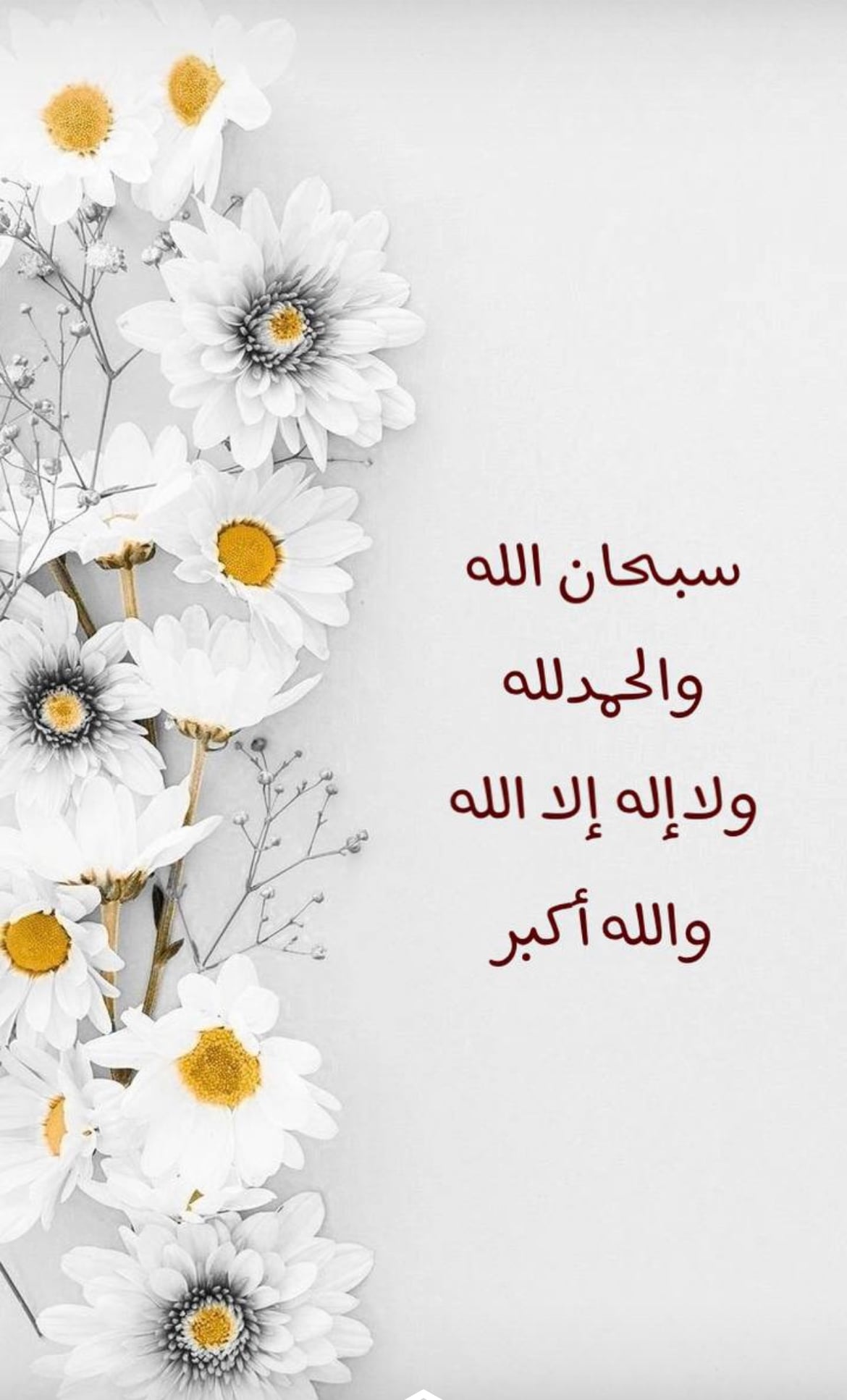 فاطمة الحربي