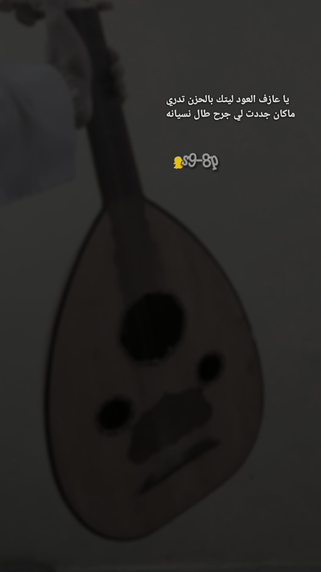 سالم إسلام ابو القاسم