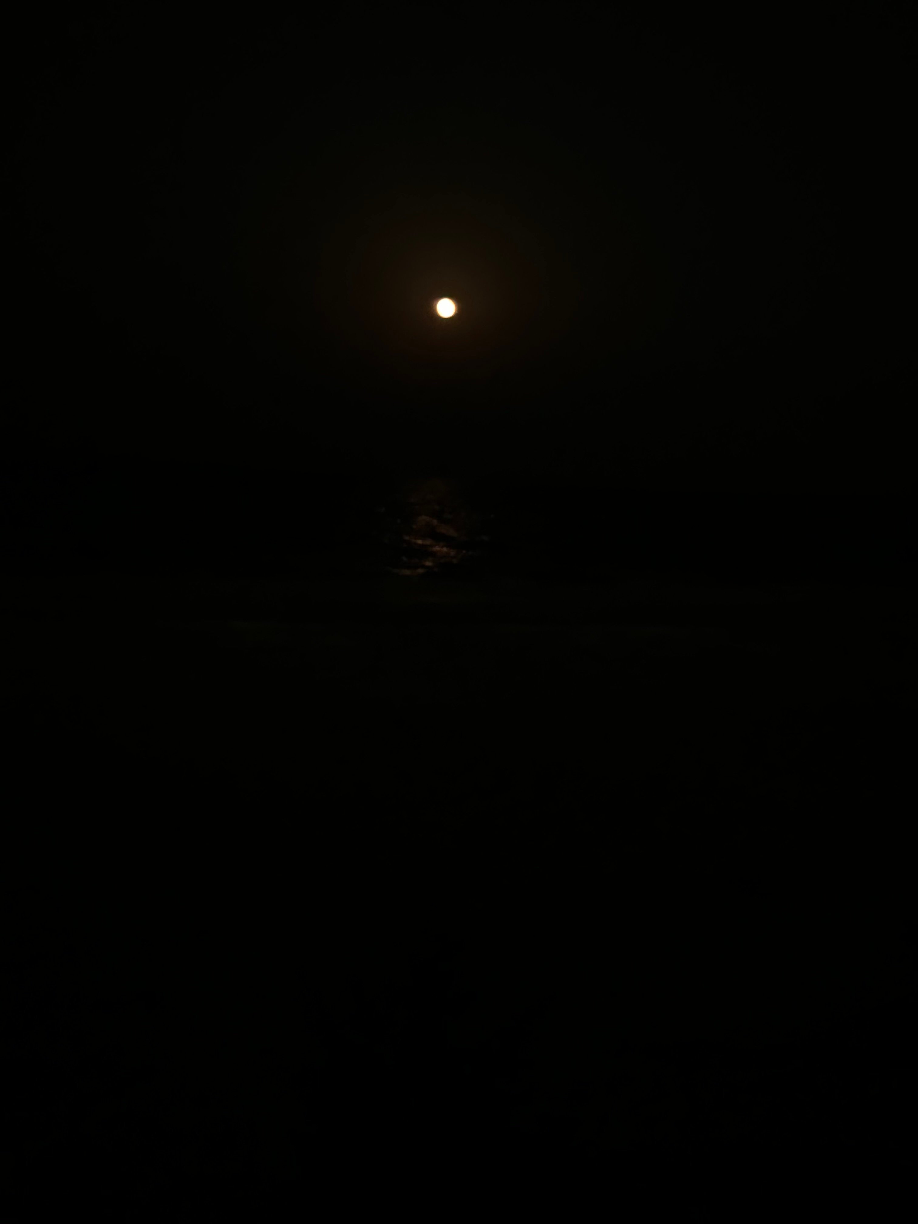 لينه ماضي الروقي