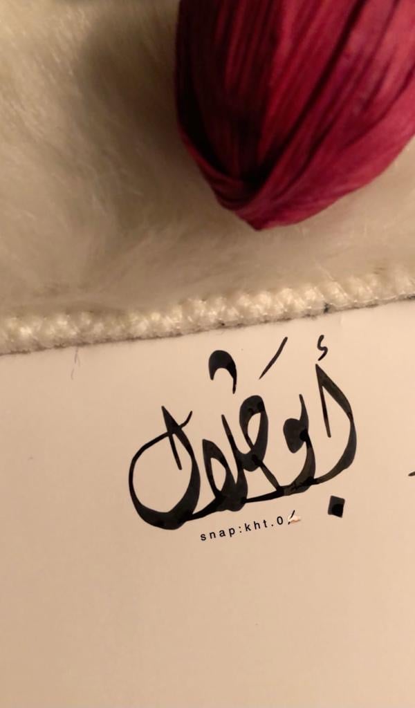 احمد العامر