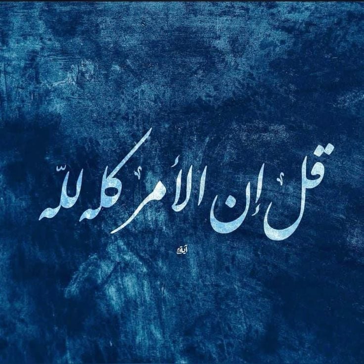 منال الحربي