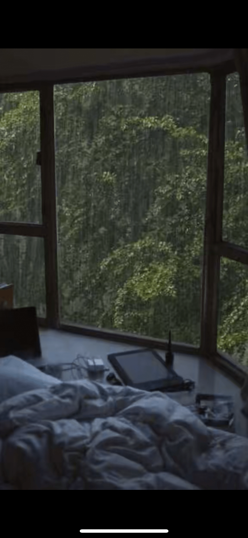 رنيم المالكي