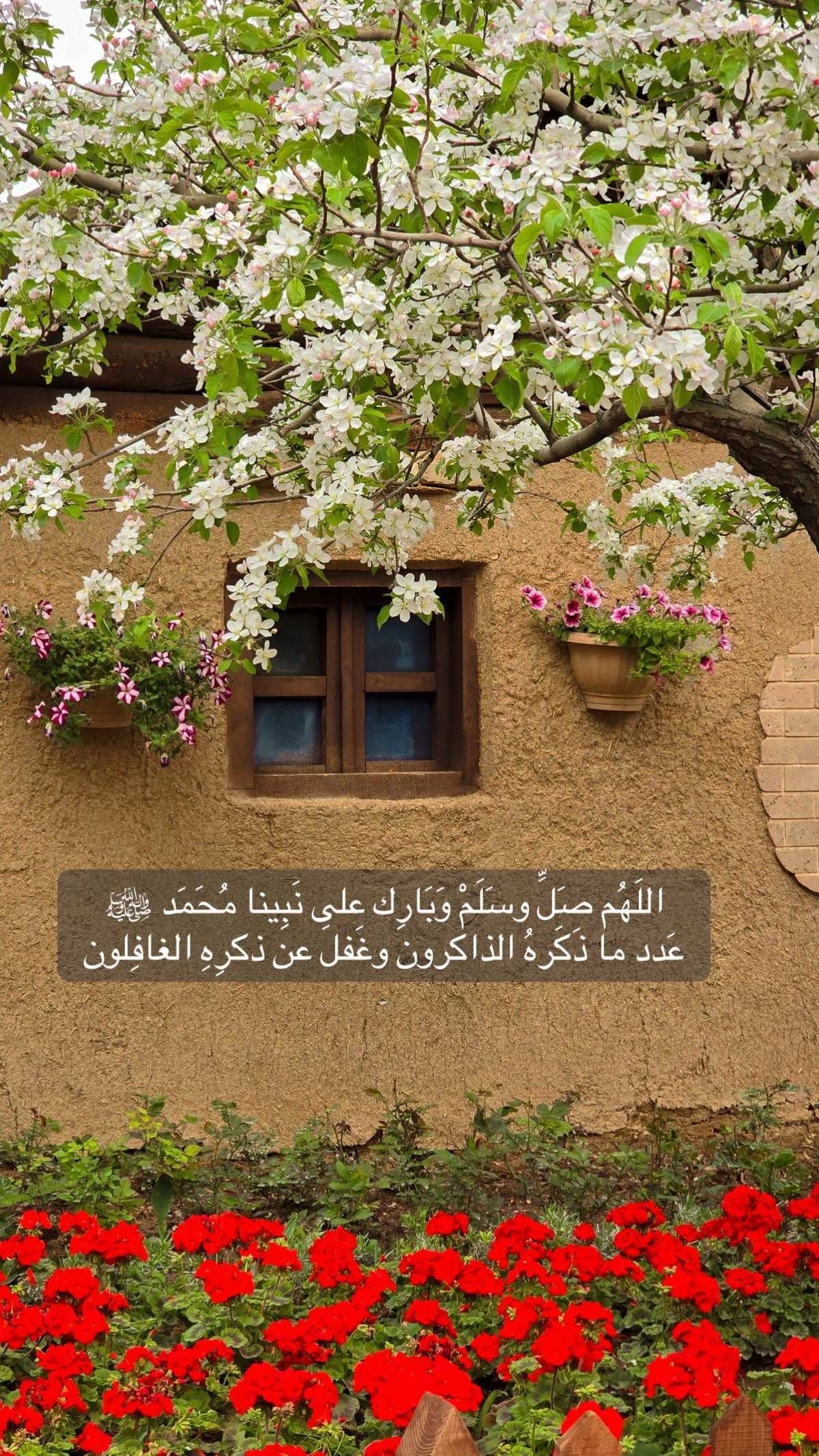 ام اطياف التليدي