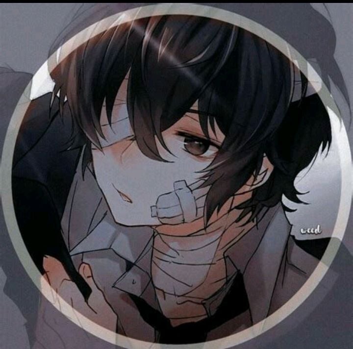 هيثم القرني