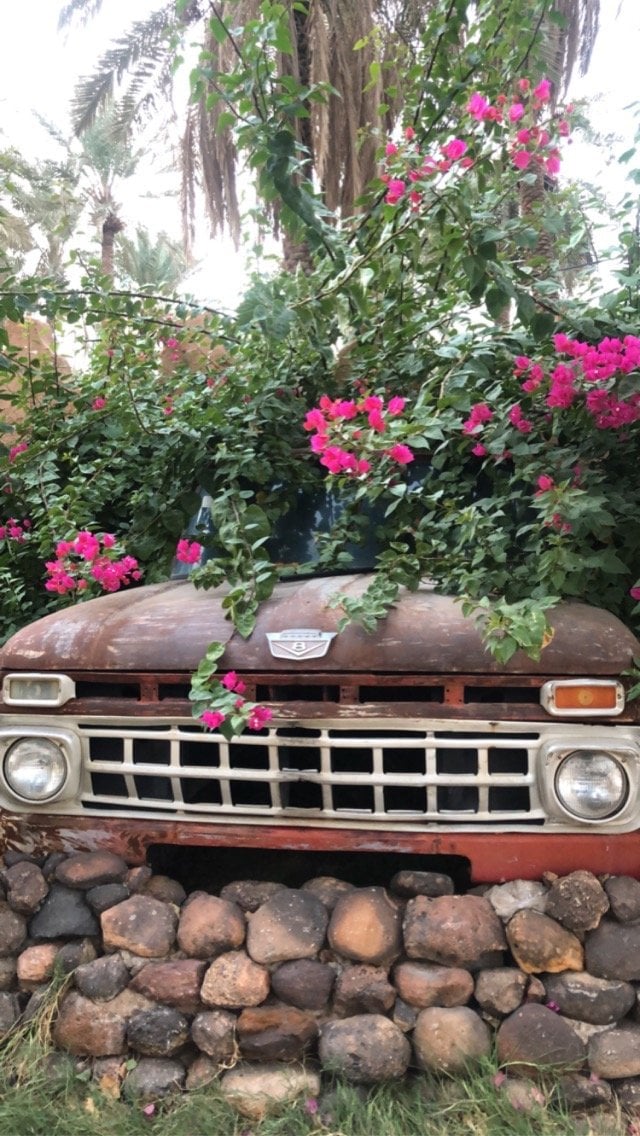 بتول الخليفة