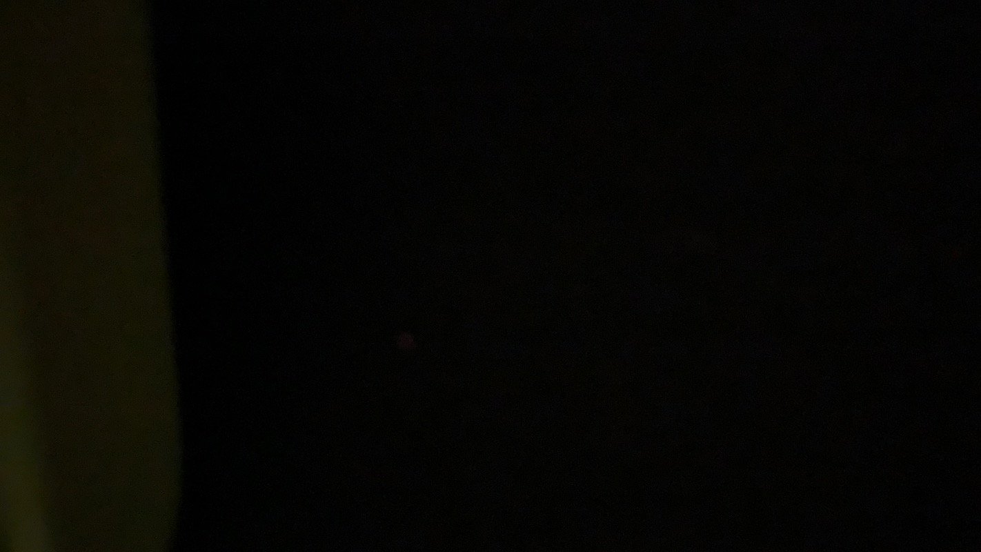 خلود العمري