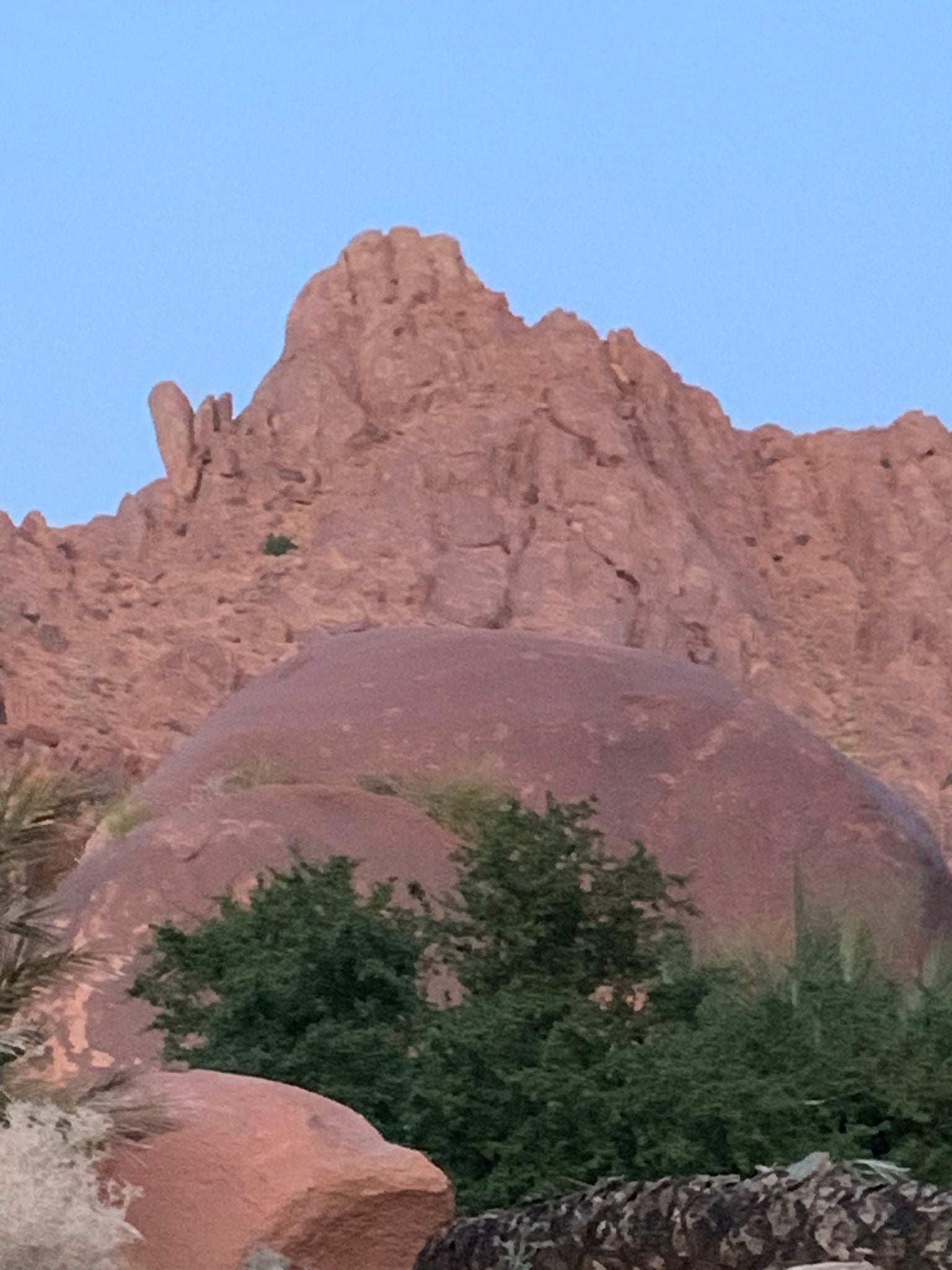 زيد القريفه
