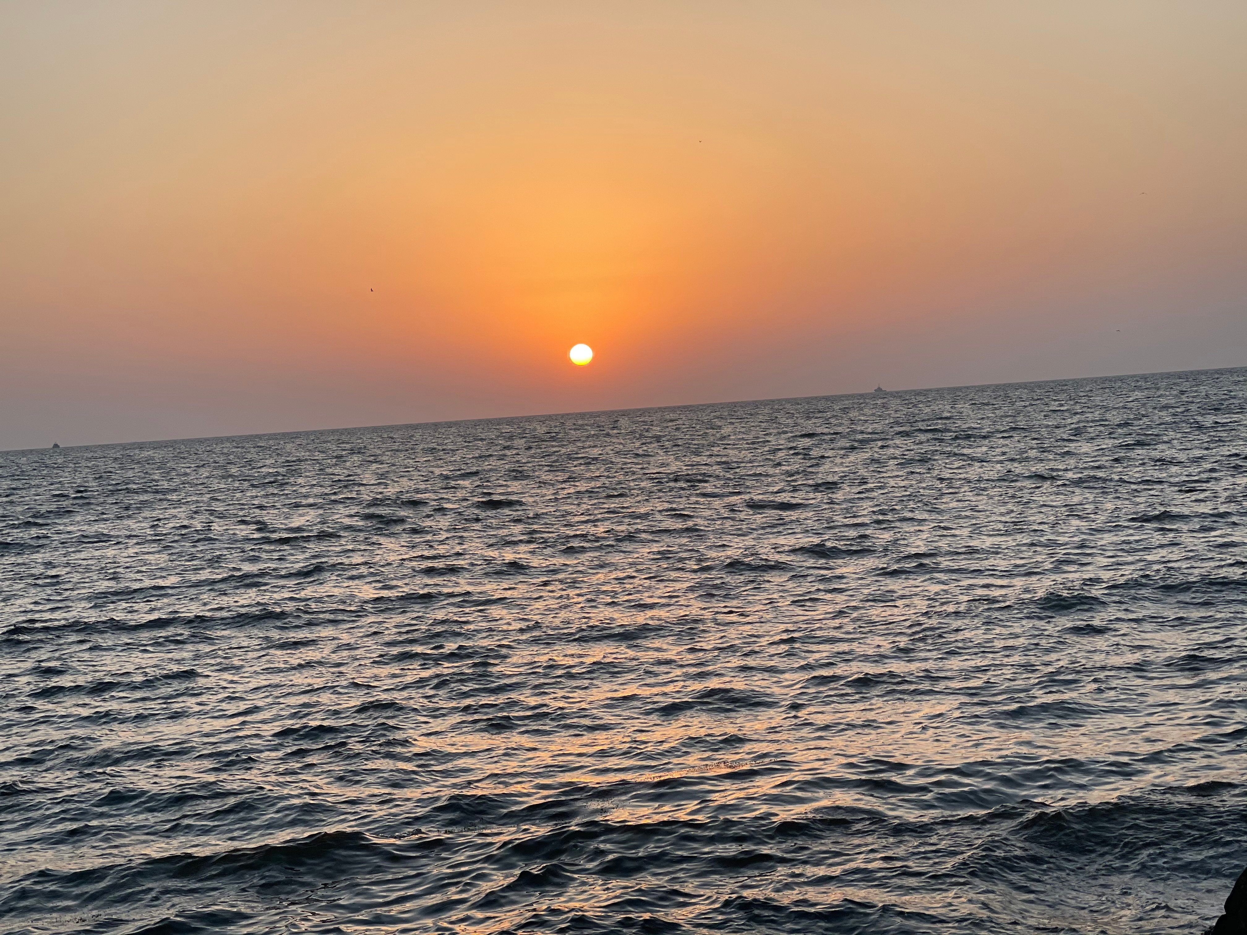 شهد العسيري