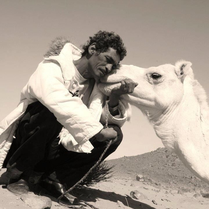 داليا الشريف