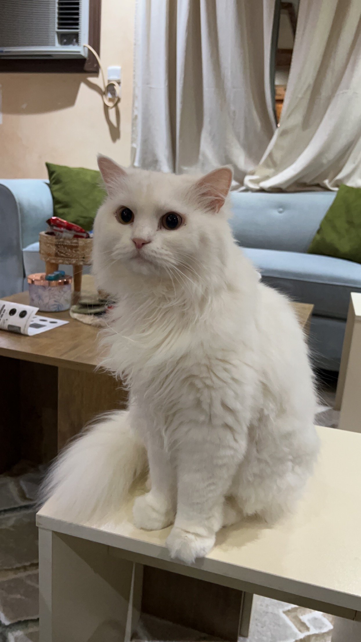 حنان اليماني