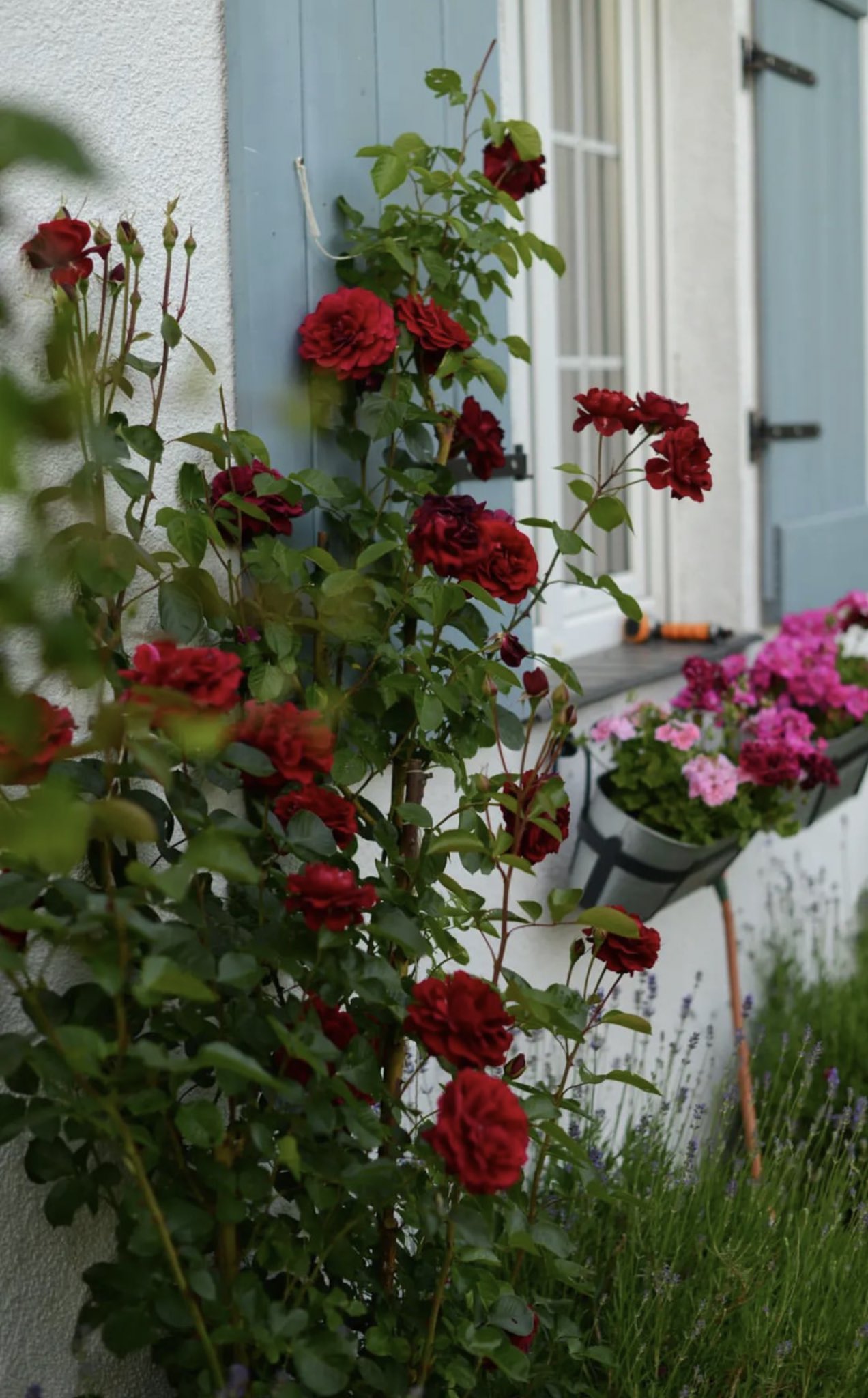 خديجه الناشري